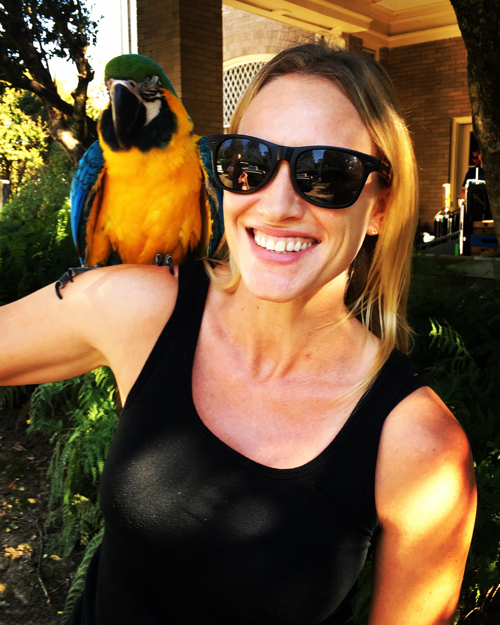 Erin-Parrot