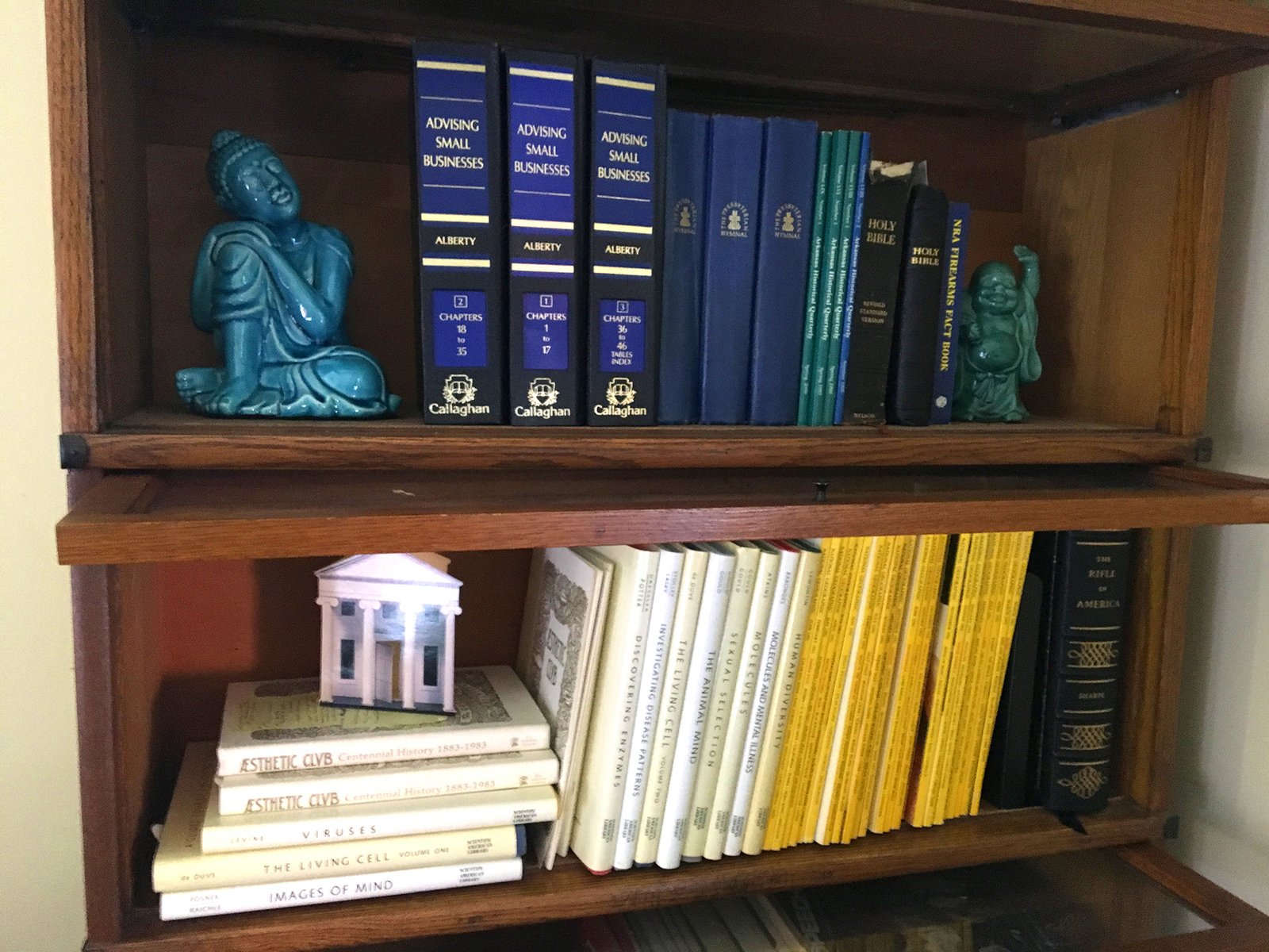 Therapist-Office-Bookcase-Detail